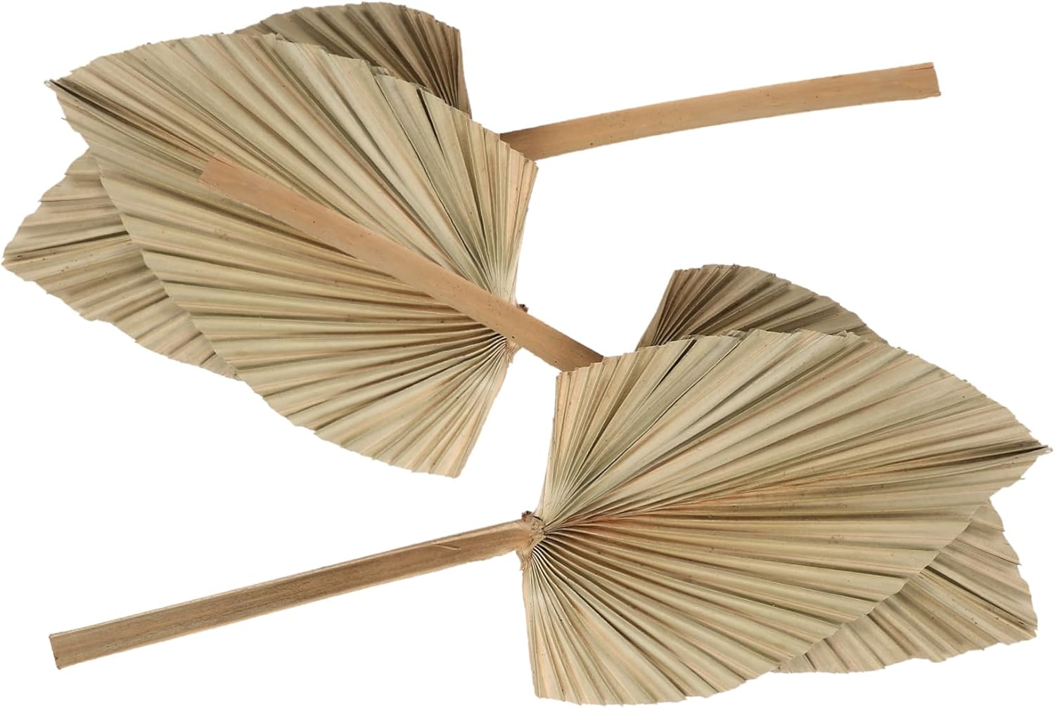 Abaodam 8 Pcs Dried Palm Leaves Flower Vases Decorative Fake Leaves Dried Natural Monstera Leaf Decor Jungle Decorations Dried Leaf Adornment Palm