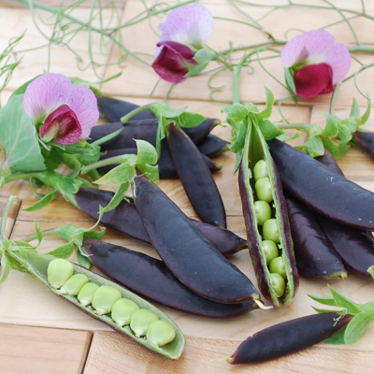 CHUXAY GARDEN 100 semillas de guisante de azúcar de magnolia, guisante de azúcar de color morado profundo, Pisum Sativum delicioso vegetal ideal