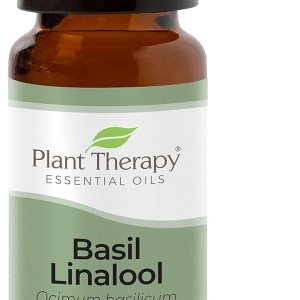 Plant Therapy Aceite esencial de albahaca Linalool 0.3 fl oz (13 oz) 100% puro, sin diluir, grado terapéutico Plant Therapy Aceite esencial de albahaca Linalool 0.3 fl oz (13 oz) 100% puro, sin diluir, grado terapéutico
