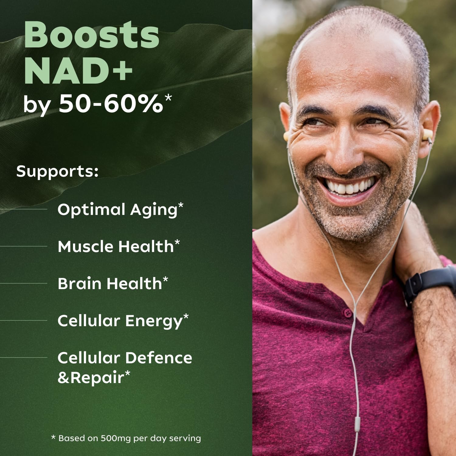 Reus Research NMN Suplemento alternativo  Ribosida liposomal de nicotinamida, resveratrol, quercetina por Reus Research  Suplemento NAD de alta
