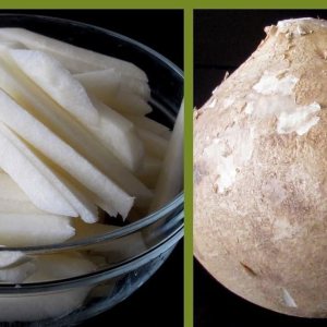 True Jicama Seeds, Pachyrhizus erosus a.K.a, frijol de ñame trepador, nabo mexicano (40 semillas) True Jicama Seeds, Pachyrhizus erosus a.K.a, frijol de ñame trepador, nabo mexicano (40 semillas)