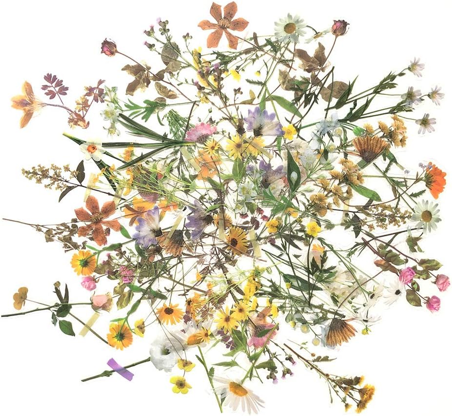 Juego de calcomanías florales retro (120 piezas) calcomanías de flores transparentes para álbumes de recortes, planificador, envoltura de diario,