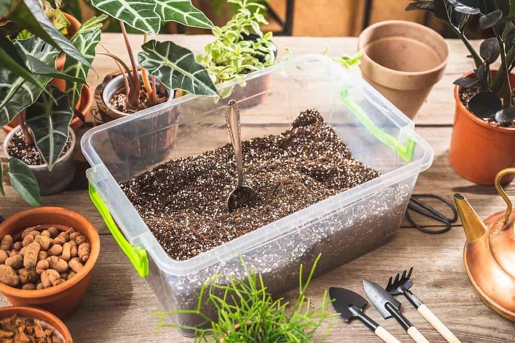 Gardenera Mezcla para macetas Calathea de primera calidad, hecha para un crecimiento vibrante y un follaje llamativo, 1 cuarto de galón