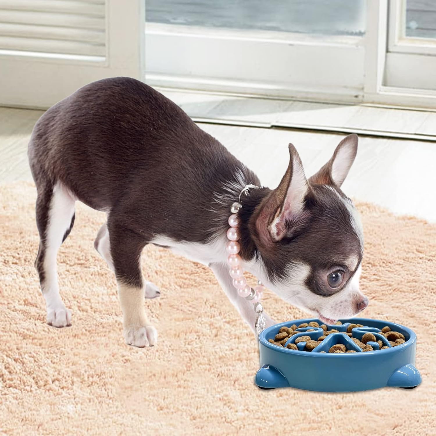 Tazones de alimentación lenta para perros y cachorros antideslizantes duraderos para cachorros y perros pequeños, sin BPA, 1 taza, color azul