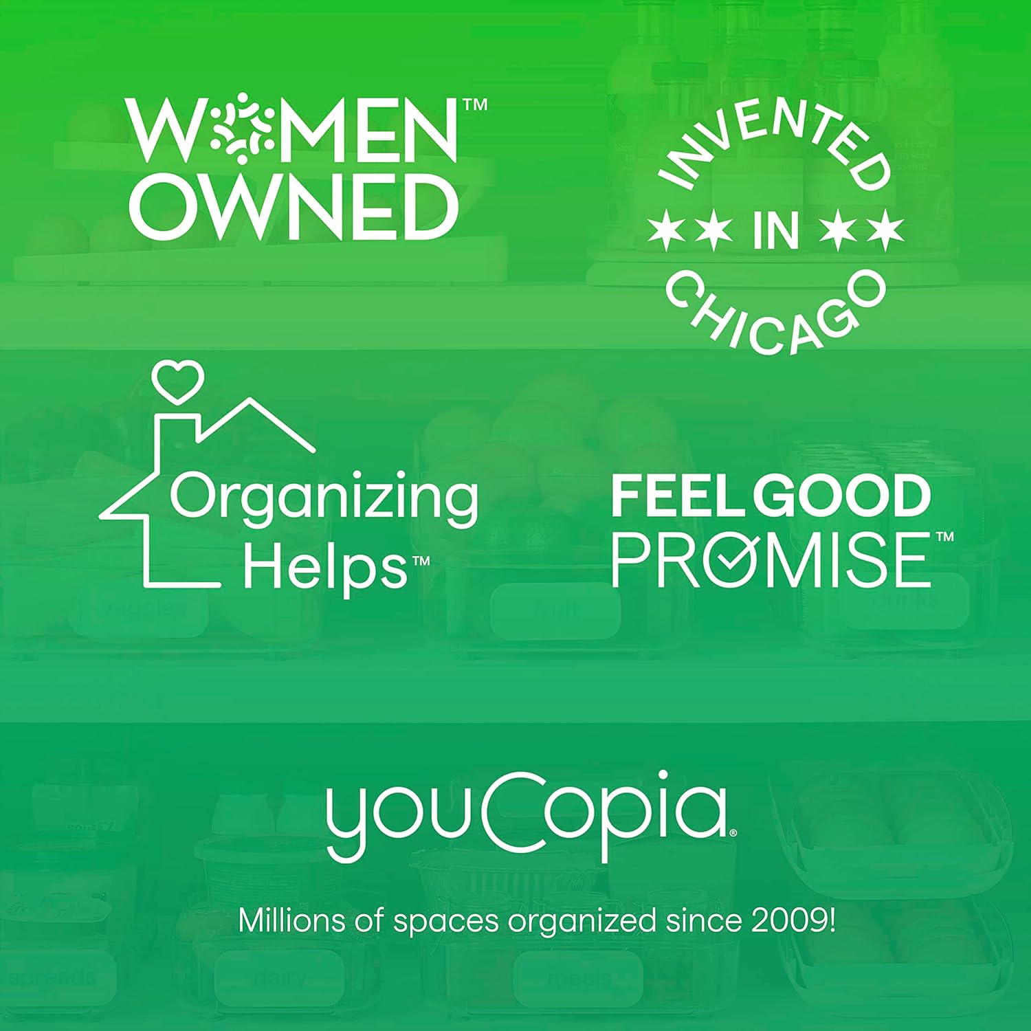 YouCopia FreezeUp – Máquina de bloques de alimentos para congelar, 6 tazas, contenedor para congelar sopa y sobras, color blanco