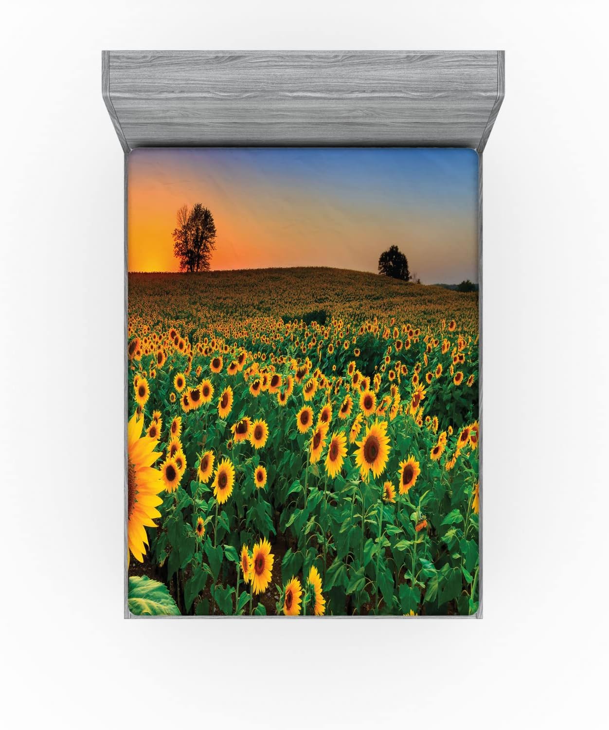 Ambesonne Sábana bajera ajustable de girasol, temática de verano, foto generada digitalmente de flores archivadas al atardecer Vivid Sky, funda de