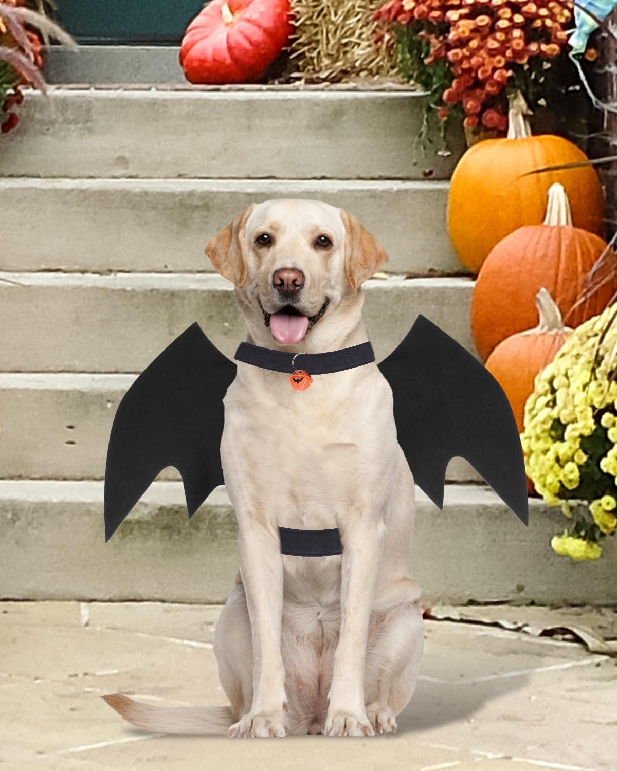 Disfraz de Halloween para perro grande, alas de murciélago de perro con campana de calabaza para mascotas, disfraz de fiesta de cosplay de Halloween