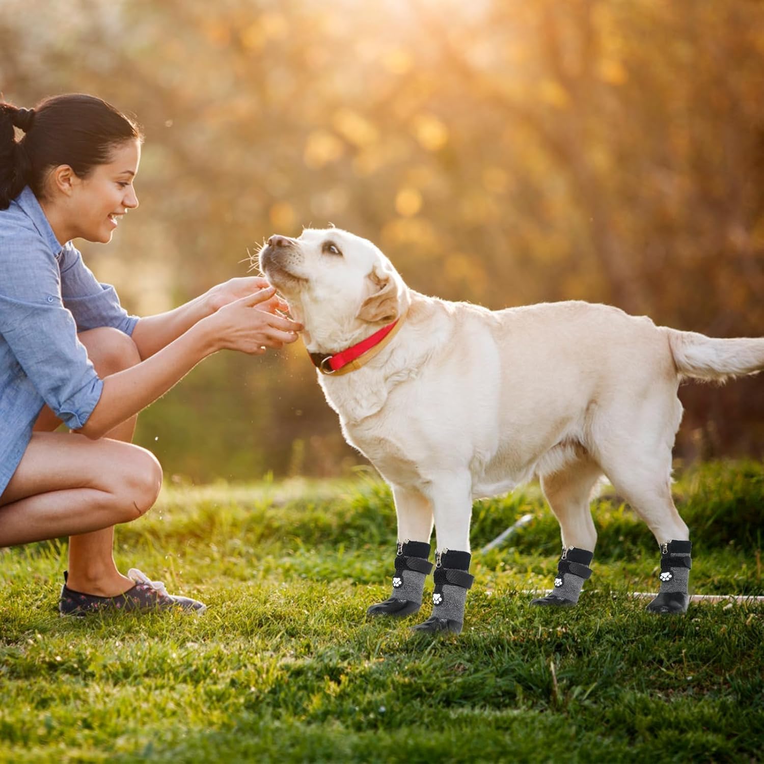 Botas para perro, calcetines impermeables para pavimento caliente, botines antideslizantes para perros, protectores de patas para suelos de madera