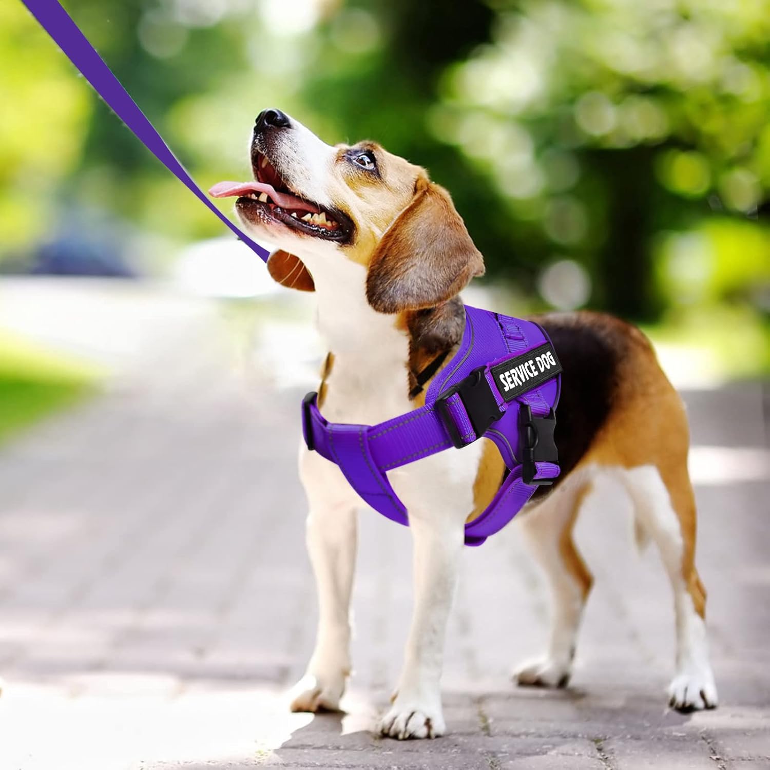 voopet – Arnés para perro de servicio, mascota de asistencia o apoyo emocional – Reflectante, transpirable y ajustable, sin tirones – Para perro