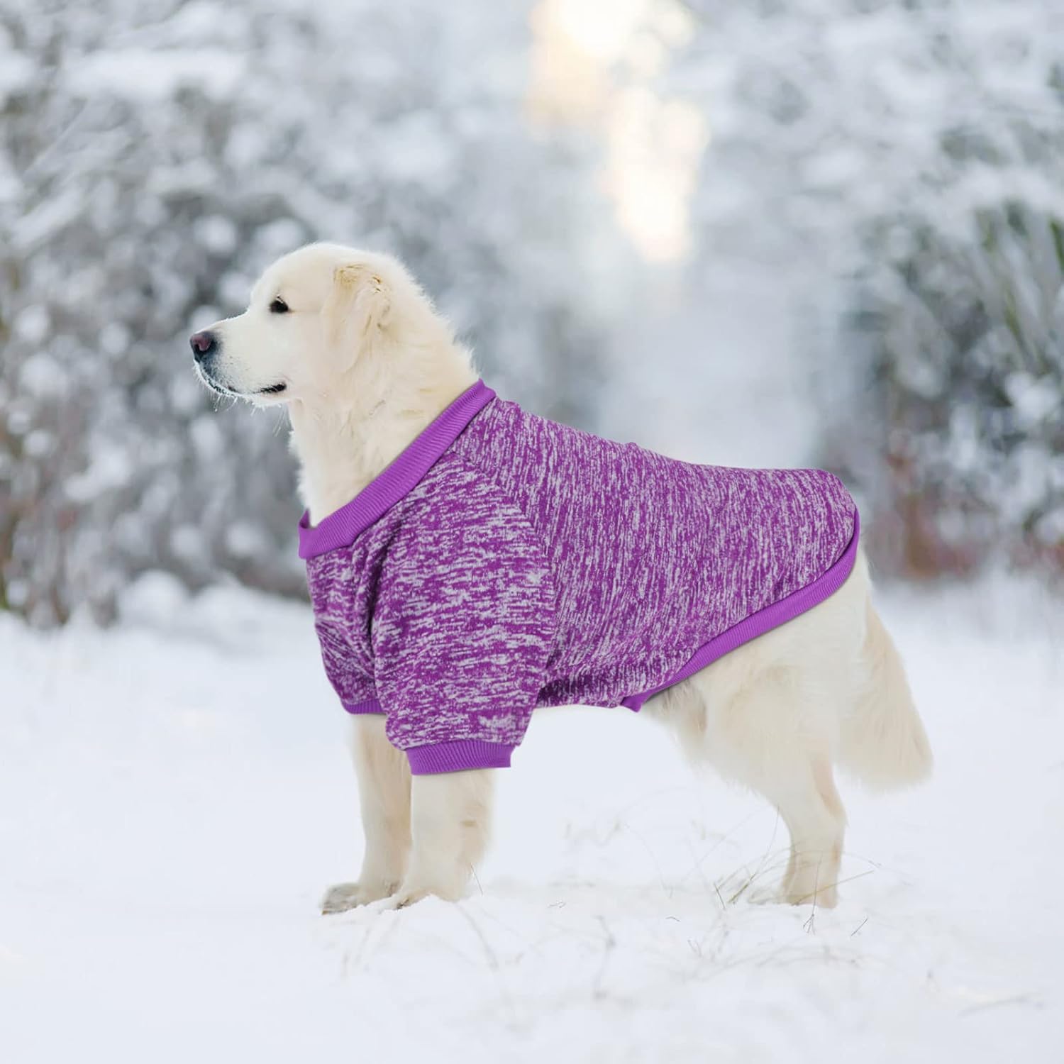 Rypet Paquete de 2 suéteres grandes para perros de invierno, ropa de punto clásica, suave, gruesa, cálida, para perros medianos y grandes