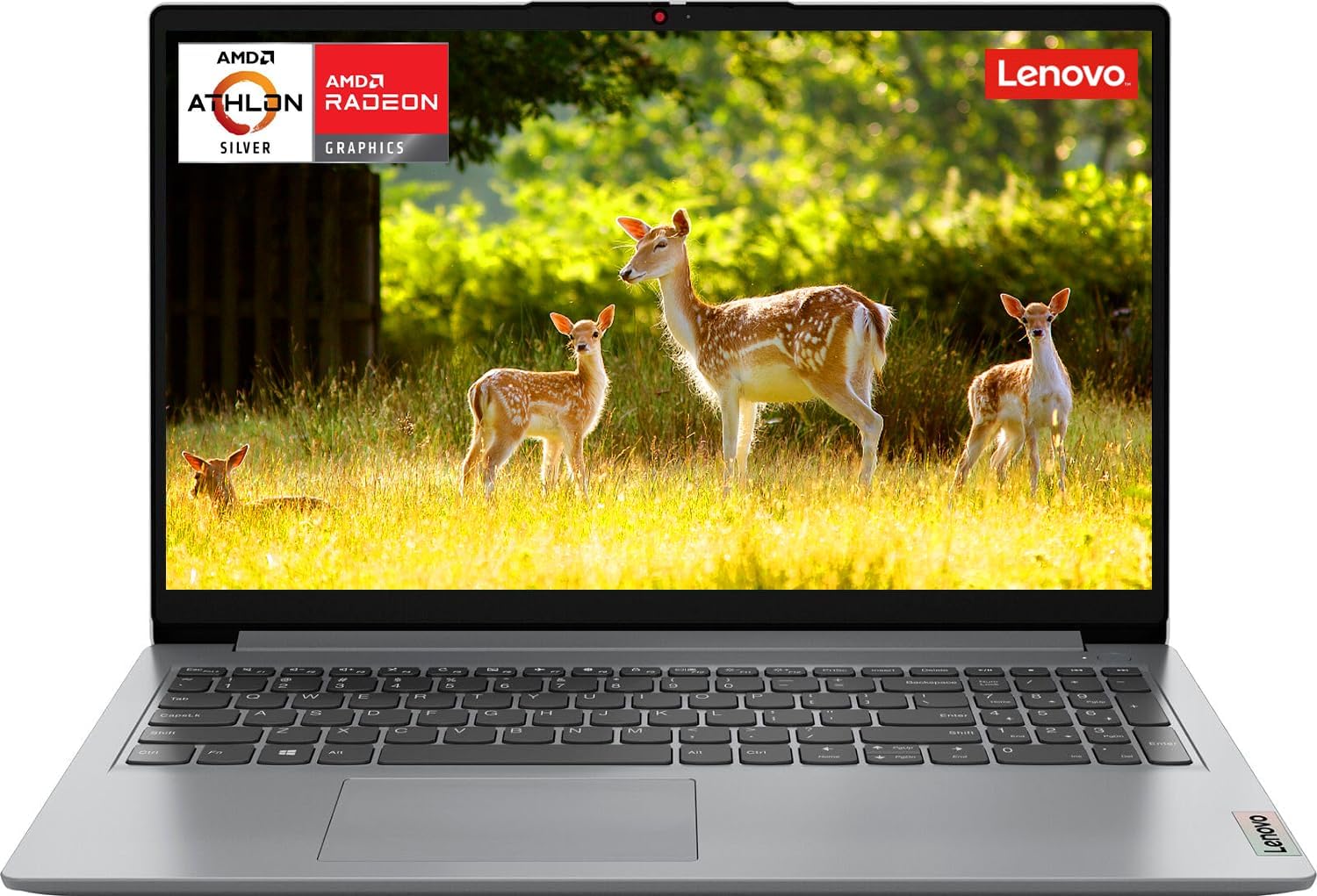 Lenovo IdeaPad 1 Laptop 2024 para negocios y estudiantes, pantalla antirreflejos HD de 15.6 pulgadas, procesador AMD de doble núcleo hasta 3.5 GHz,