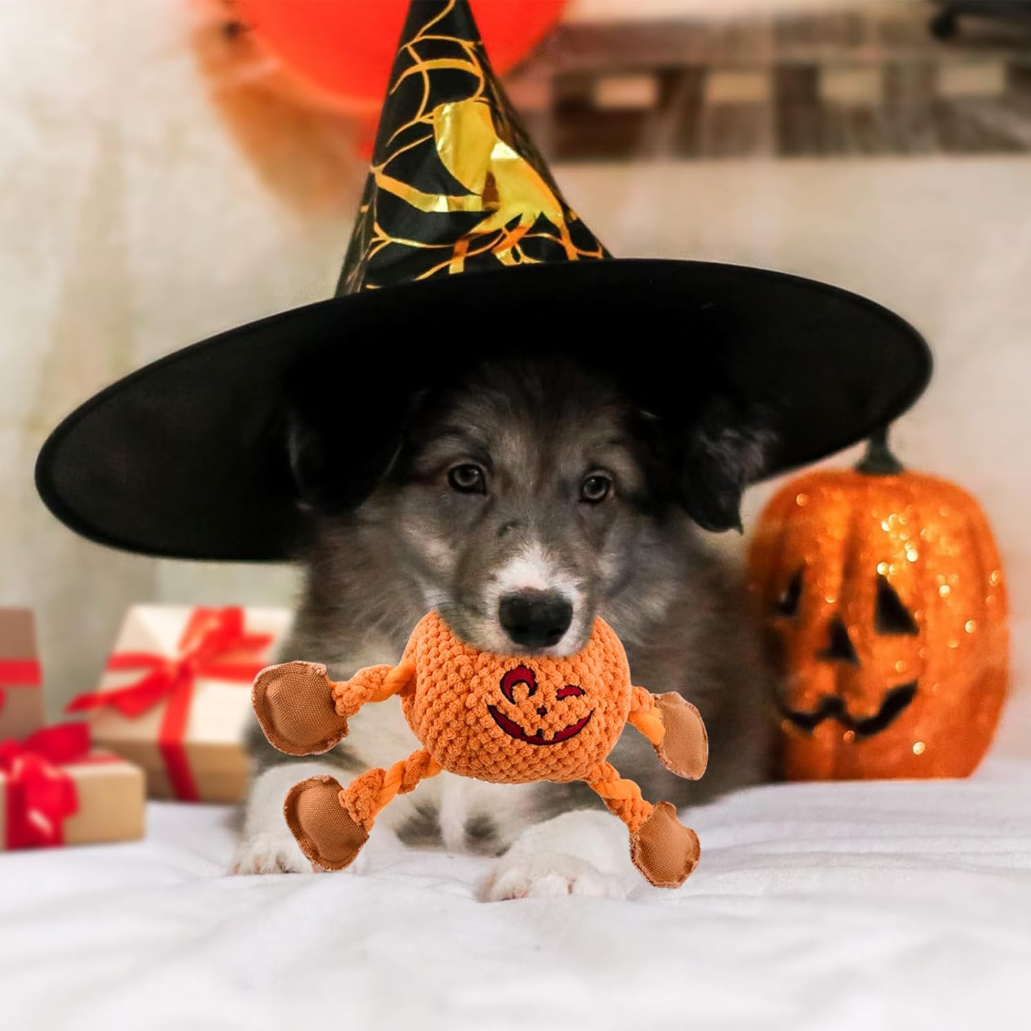 Vehomy Juguetes de Halloween para perros, juguetes chirriantes para perros de Acción de Gracias, calabaza, Acción de Gracias, pavo, juguete