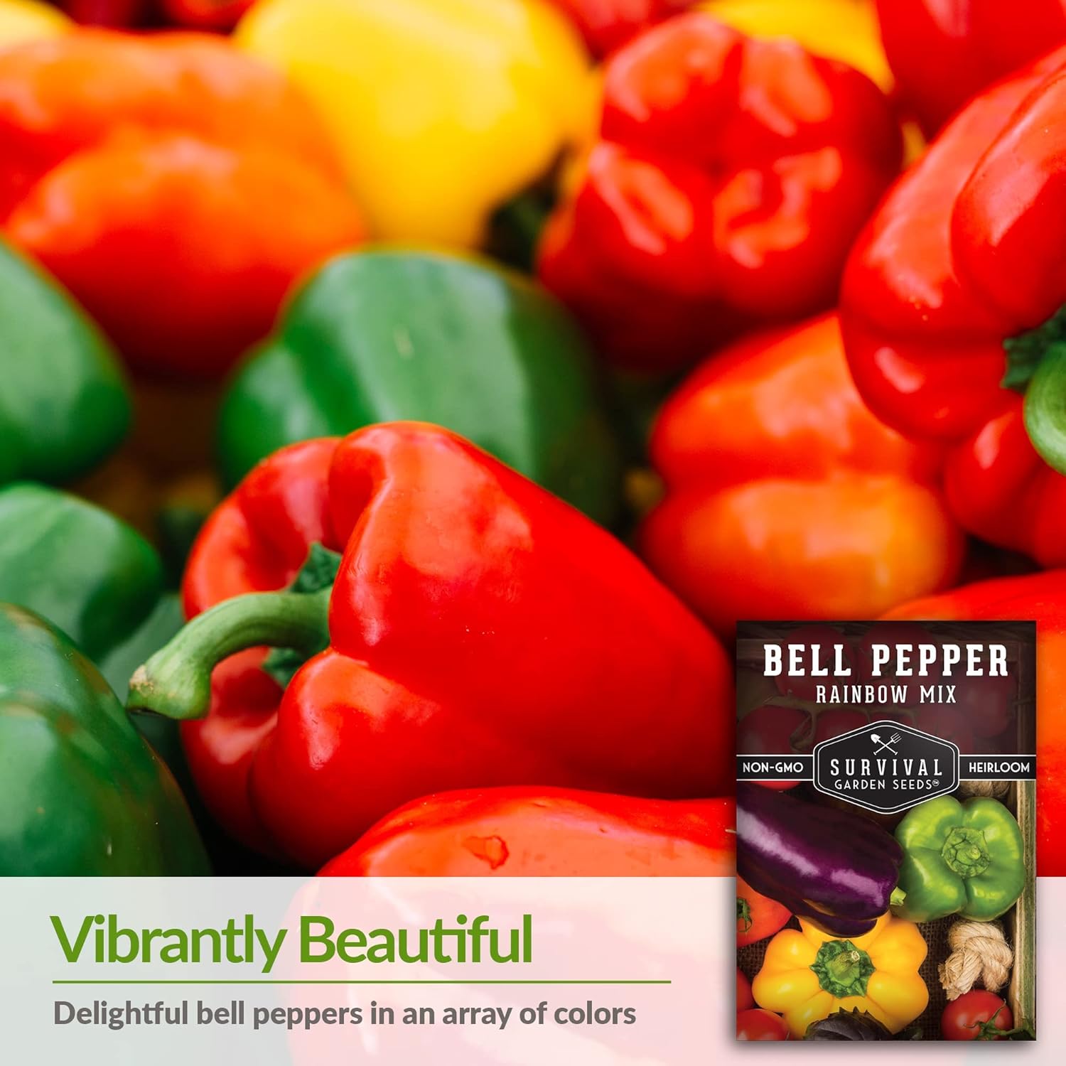 Survival Garden Seeds – Mezcla de semillas de pimiento arcoíris para plantar – 3 paquetes con instrucciones para plantar y cultivar deliciosos