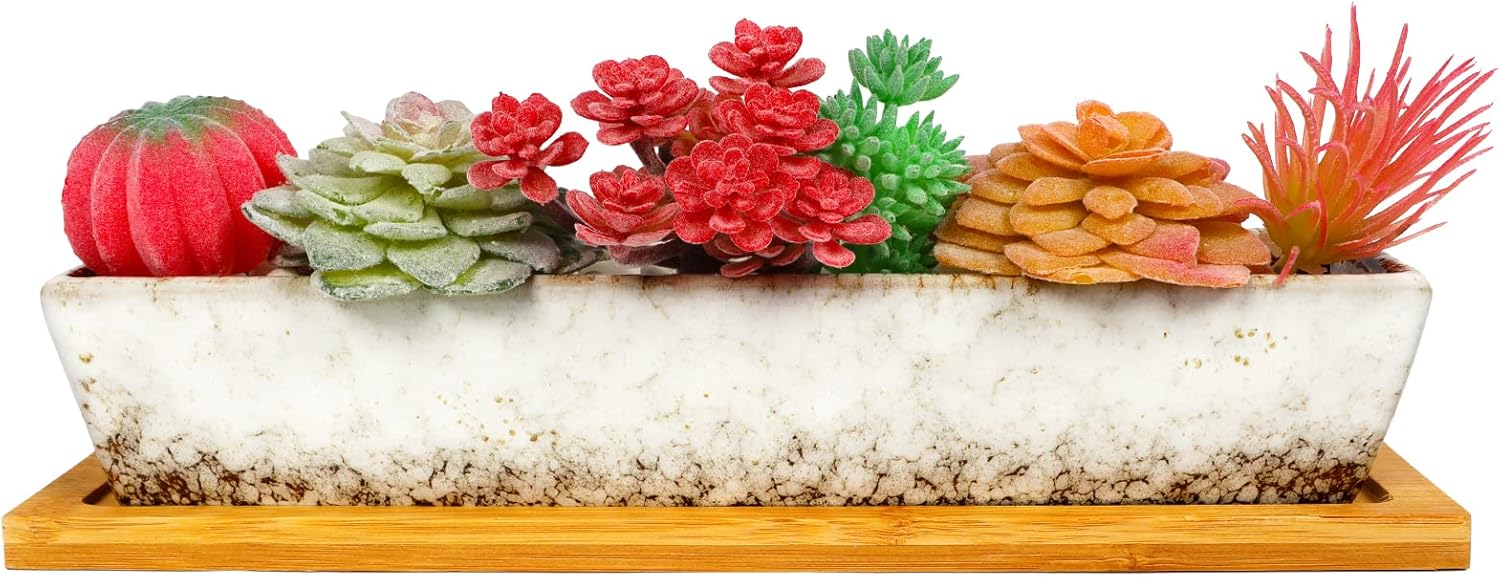 Macetero para suculentas, macetas rectangulares de cerámica para suculentas, mini contenedores de flores con platillos de bambú para oficina,