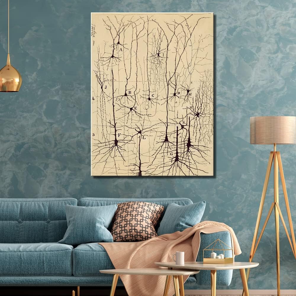Dibujo de neuronas, Santiago Ramón y Cajal, impresión artística antigua de anatomía cerebral, pósteres vintage, pinturas en lienzo, pósteres e