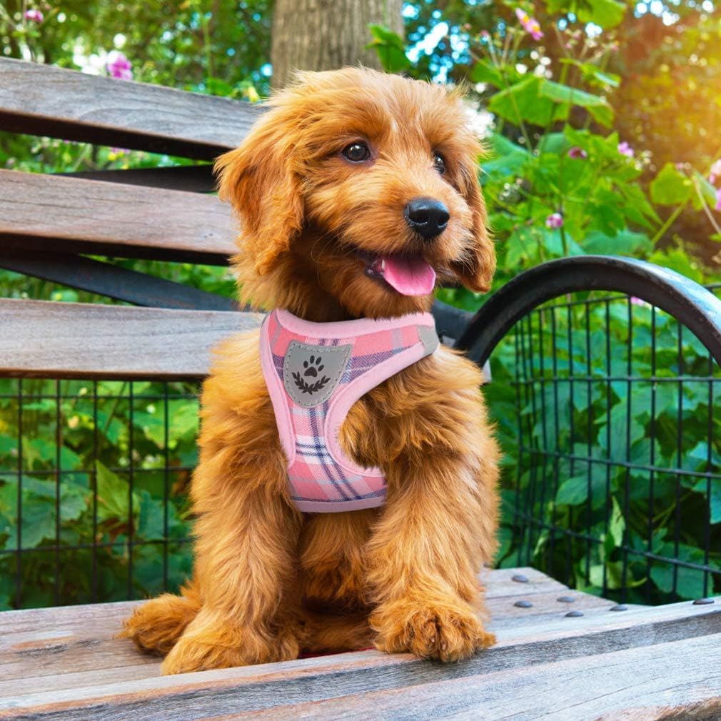 PUPTECK – Arnés y correa ajustable, sin tirones, para perro pequeño y mediano, cachorros y gatos, adiestramiento y paseo al aire libre, chaleco