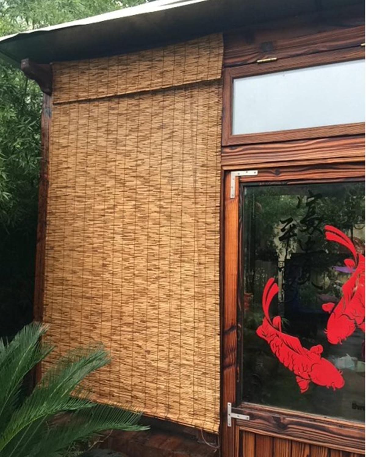 Persianas de bambú para ventanas, persianas de patio enrollables para exteriores, 38 x 48 pulgadas, 74 x 60 pulgadas, 34 x 72 pulgadas, 72 x 84