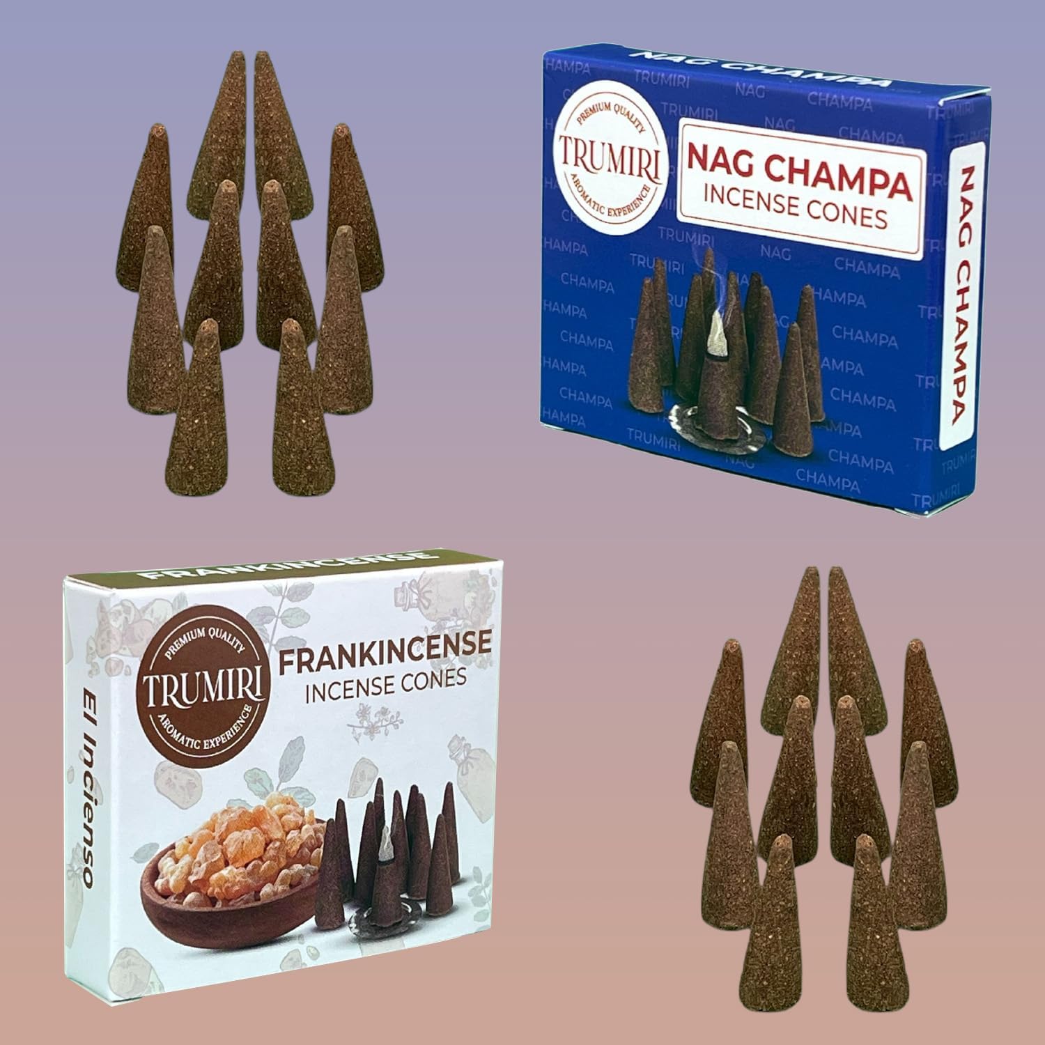 Conos de incienso  Paquete combinado de 20 conos de incienso  10 incienso + 10 Nag Champa  Conos de insencia  Conos de incienso perfumados  Aromas