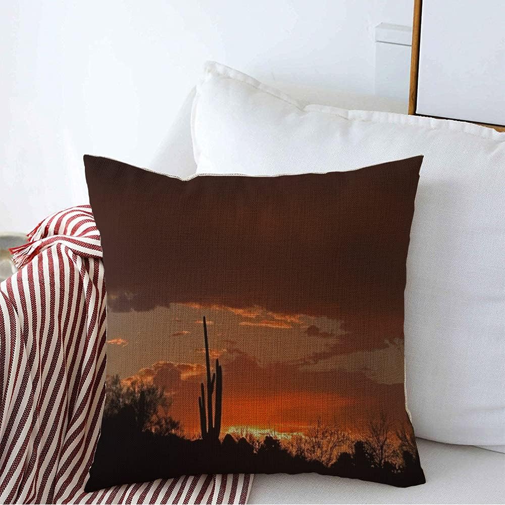 Funda de almohada decorativa paisaje seco cactus suroeste de Saguaro Silhouette Sundown Cielo rojo Parques naturales al aire libre funda de almohada