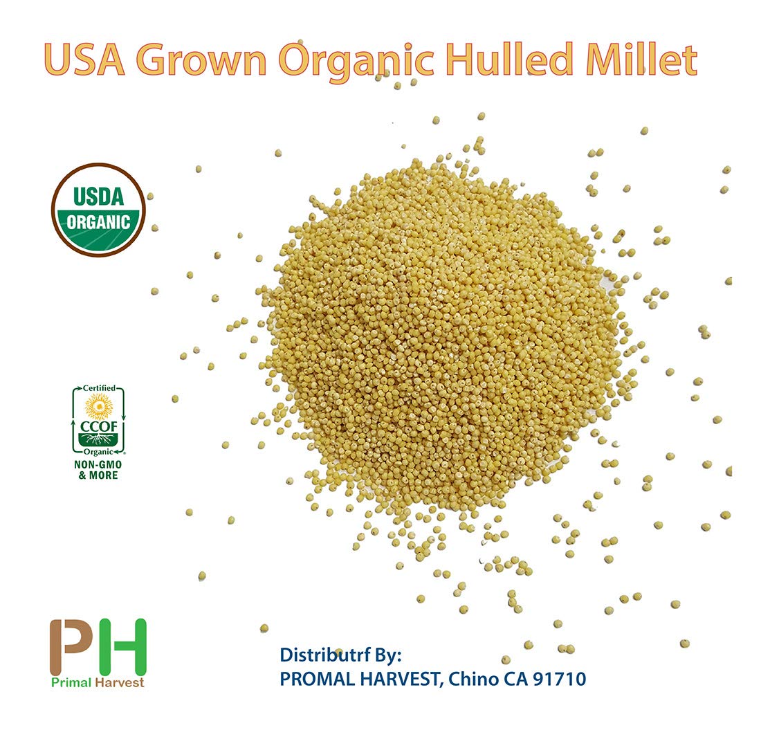 Mijo orgánico cultivado en Estados Unidos, semillas de grano entero sin OMG descascarillado sin gluten crudo a granel