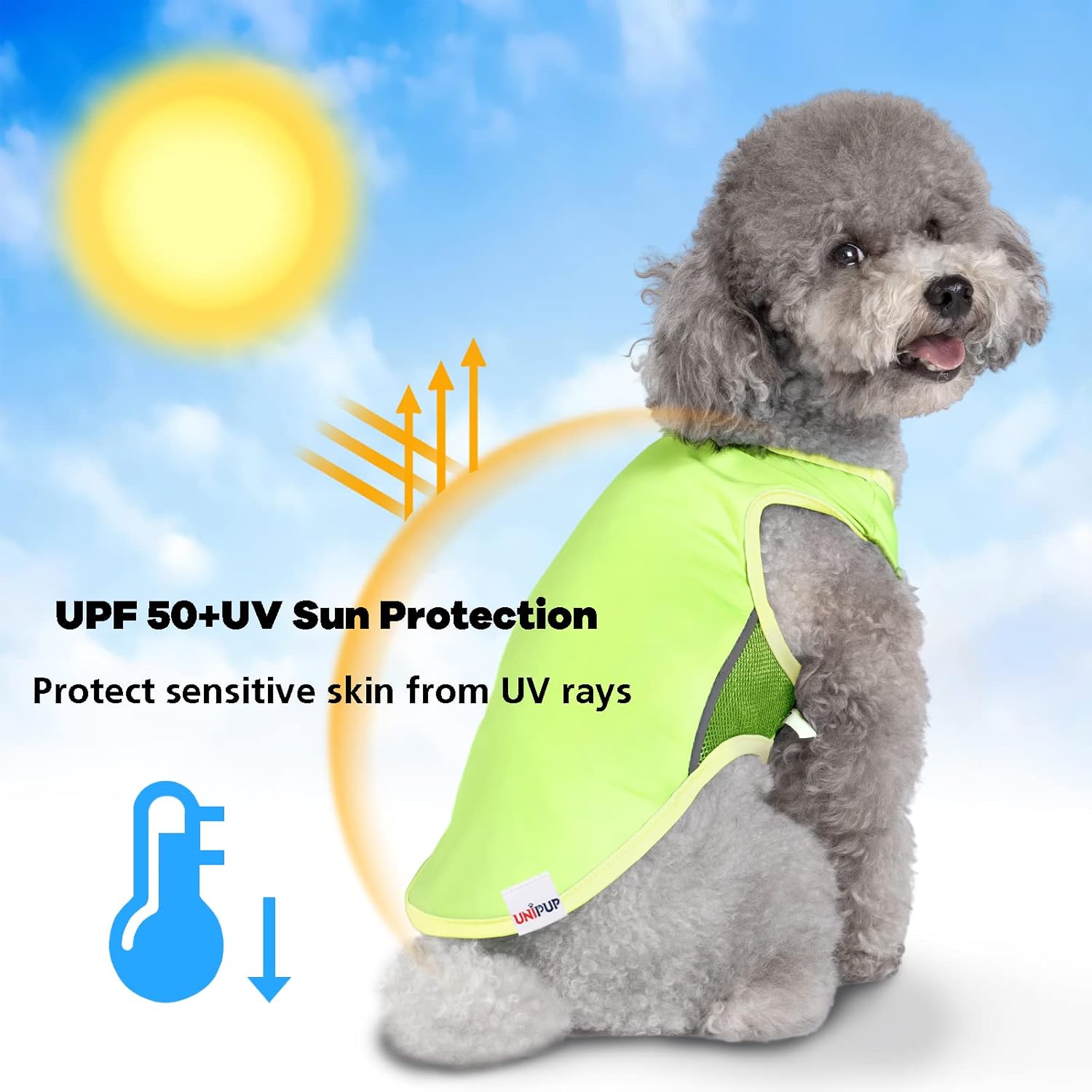 Camiseta para perro con protección solar UPF 50+, camisetas para fanáticos de los deportes para perros pequeños, niños y niñas, camisetas