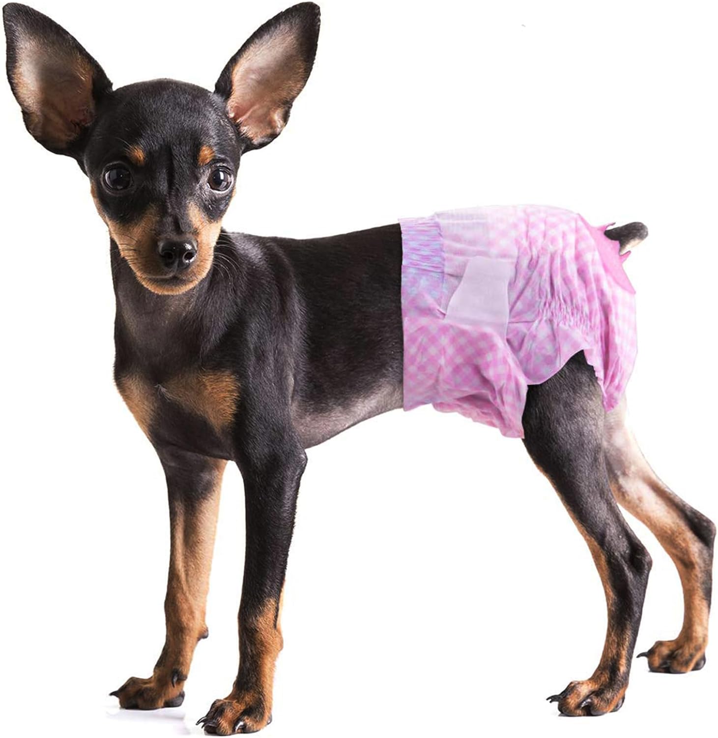 Pet Soft Pañales para perros femeninos  Pañales desechables para perros, pañales para gatos hembras, pañales para cachorros con orificio de cola de
