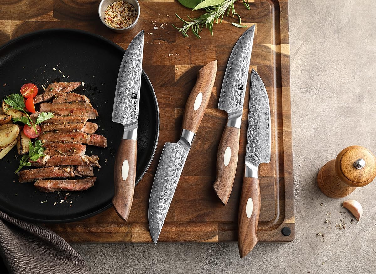 XINZUO Juego de 4 cuchillos para carne de 5 pulgadas, acero japonés AUS-10 de 67 capas forjados de Damasco con caja de regalo, cuchillo de mesa de