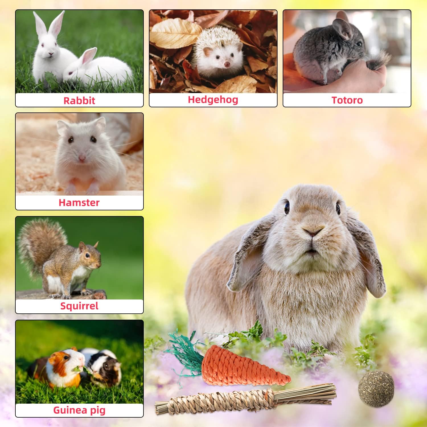 14 piezas de juguetes de conejo, juguetes para masticar, juguetes de hámster para dientes, madera de manzana natural, palitos de heno Timothy,