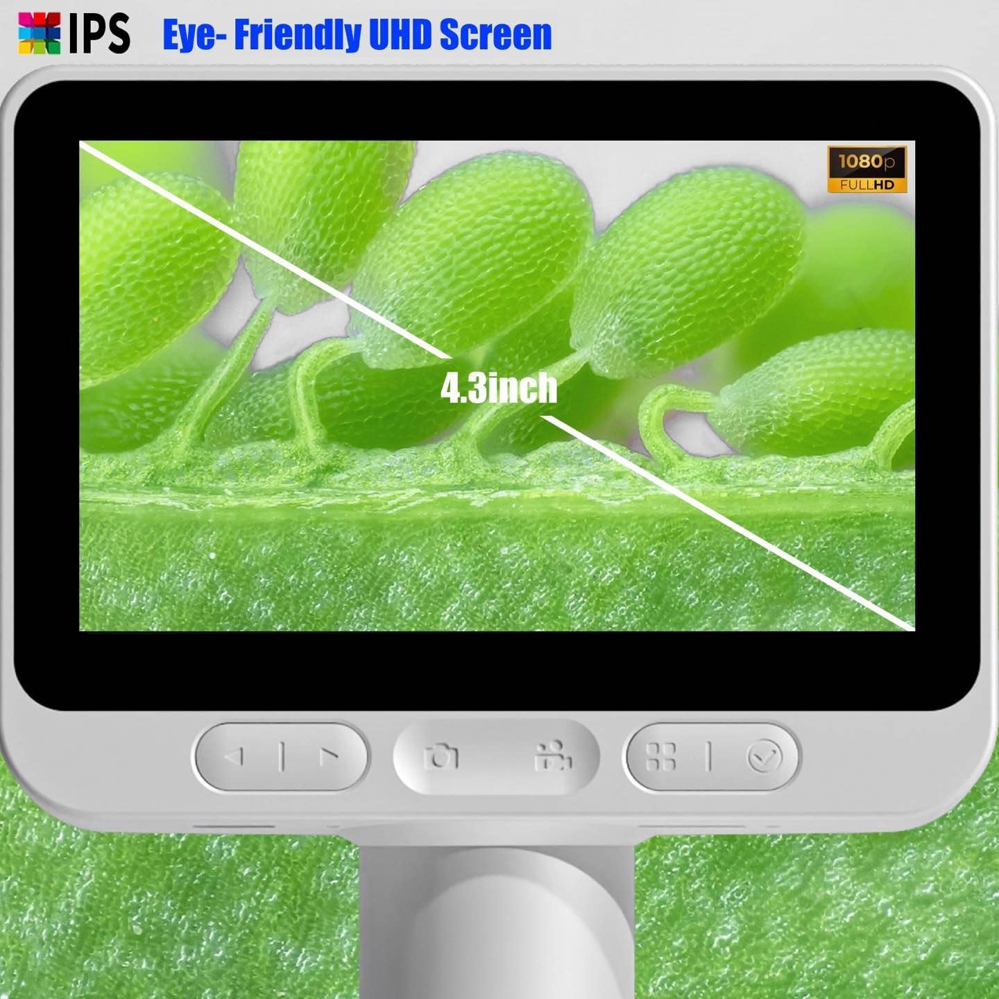 BEAVERLAB Microscopio digital con pantalla IPS 1080P de 4.3 pulgadas, ligero y portátil, aumento de 1600x para niños y adultos, exploración de la