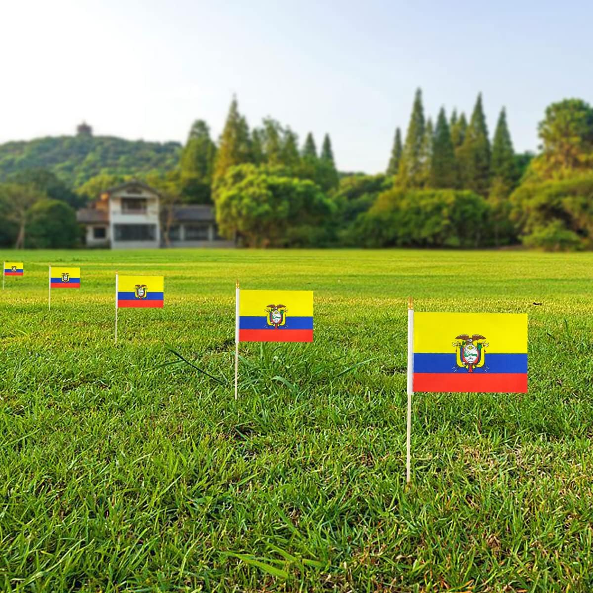 Newperlite Banderas de mano pequeñas de Ecuador – Poste de madera maciza y parte superior de lanza (paquete de 12, 5 x 8 pulgadas)