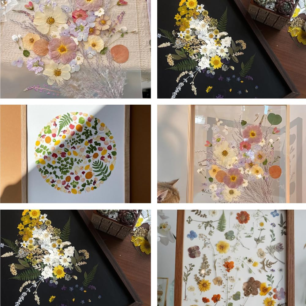 Buzidao Flores secas prensadas, más de 60 piezas de flores prensadas naturales para resina, arte de uñas, álbumes de recortes, velas, tarjeta de