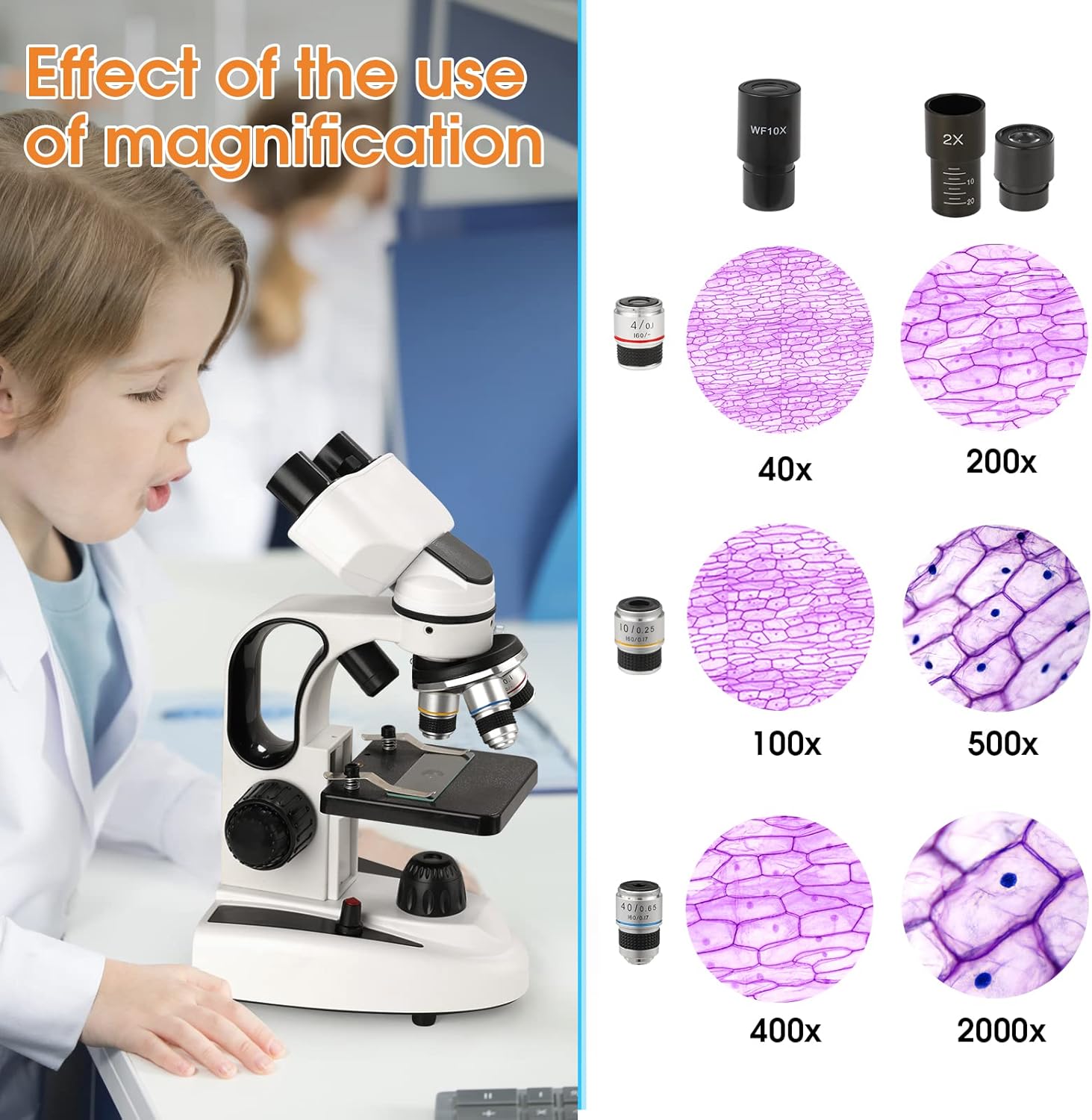 Sedumic Microscopios biológicos binoculares para laboratorio escolar, educación en el hogar, microscopios 100X-2000X para niños, estudiantes,