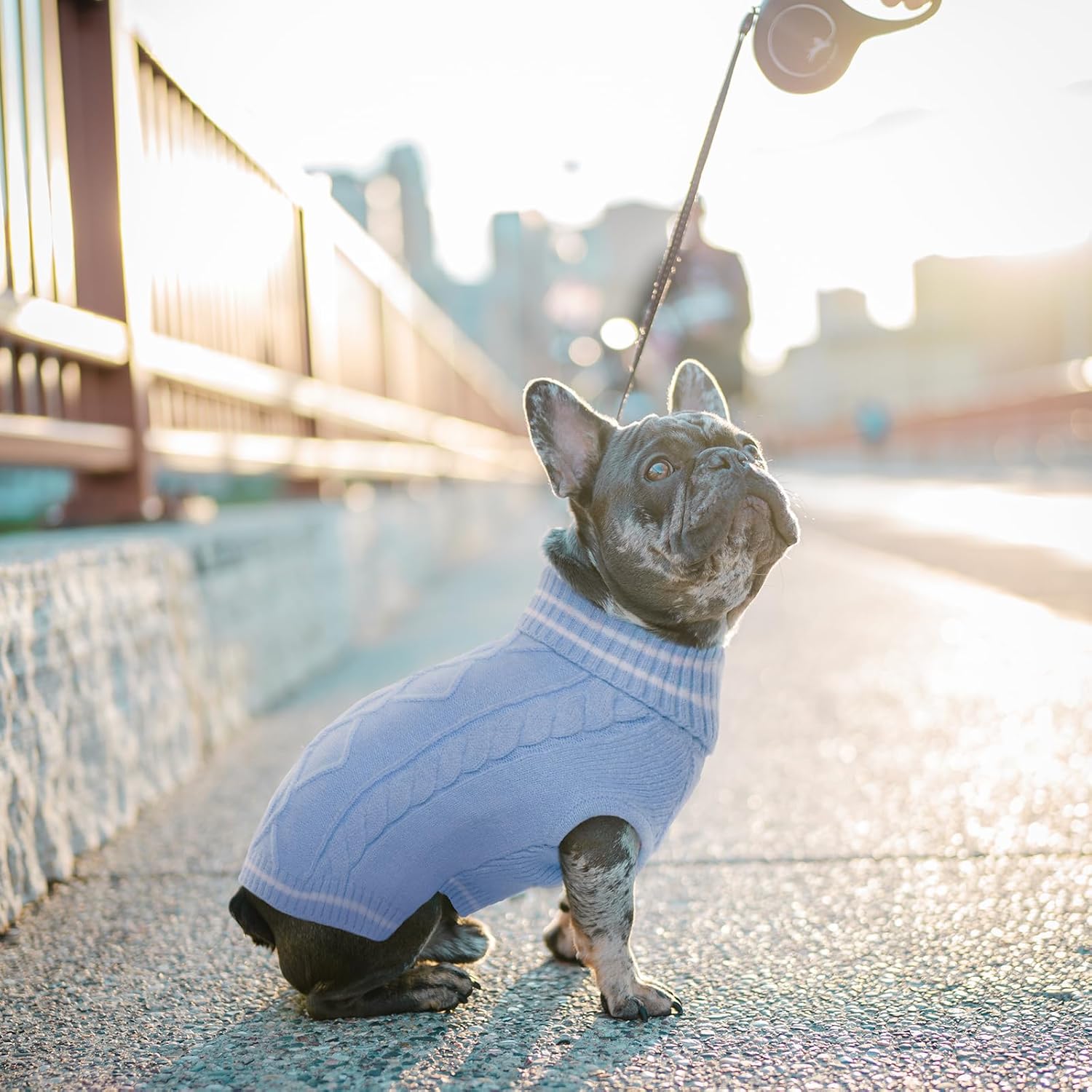 ROZKITCH Suéter para perro, suéter de punto para clima frío para otoño e invierno, suéter de cuello alto para perro, ropa clásica gruesa y cálida