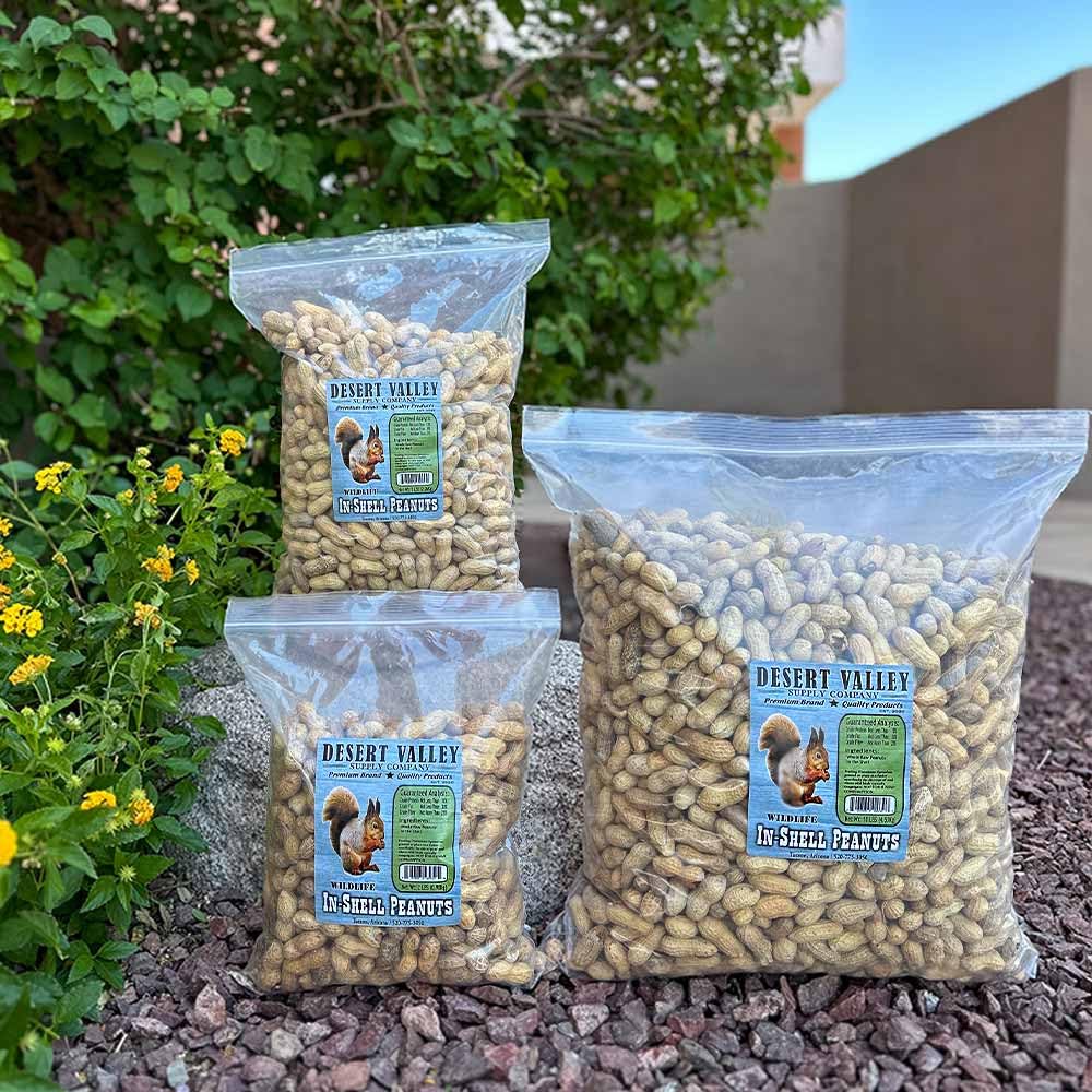 Desert Valley – Cacahuetes de concha prémium – Wild Bird – Alimento para vida silvestre, ardillas, ardillas, cardenales, arrendajos y más (2 libras)