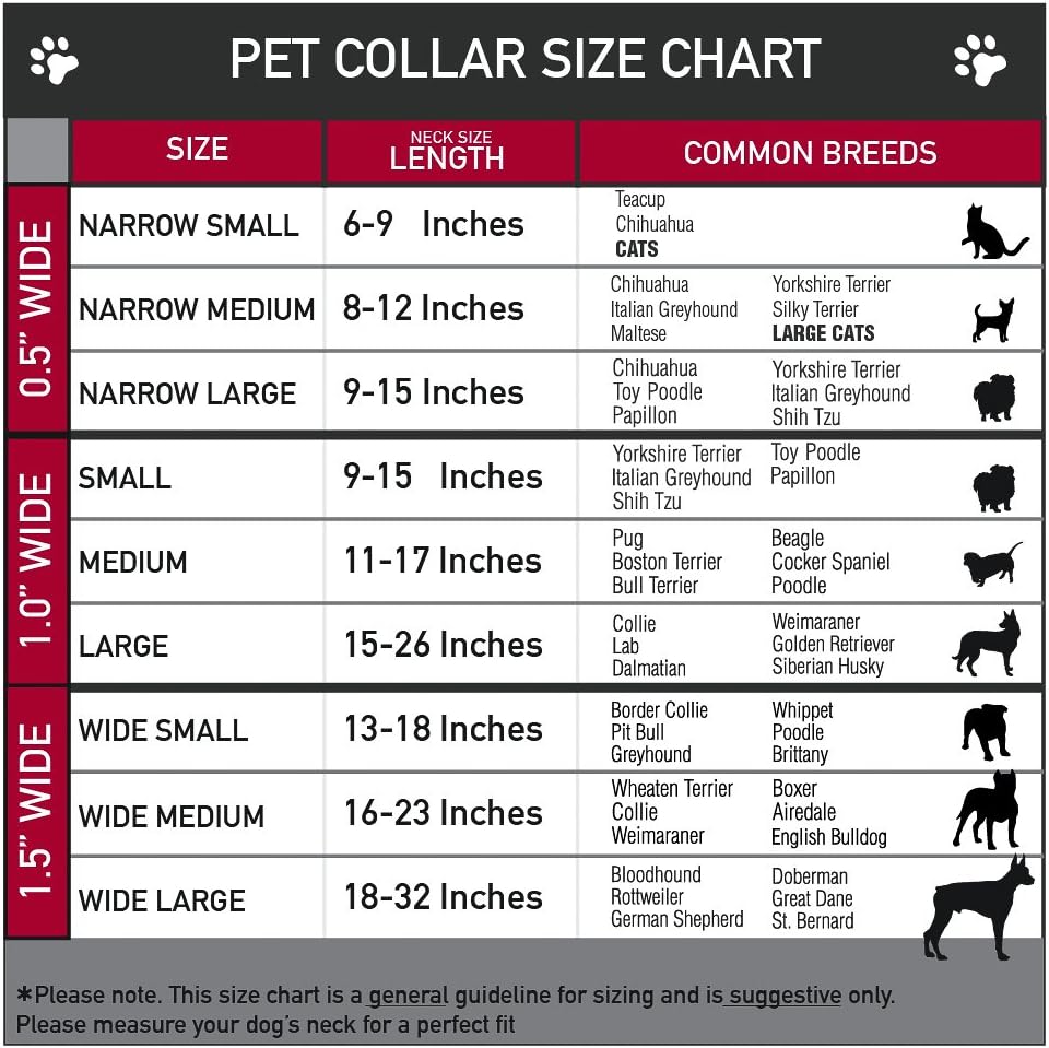 Buckle-Down Collar de perro Clip de plástico Thor Hammer Rojo Amarillo Blanco 11 a 17 pulgadas 1.0 pulgadas de ancho, PC-WTH005-M