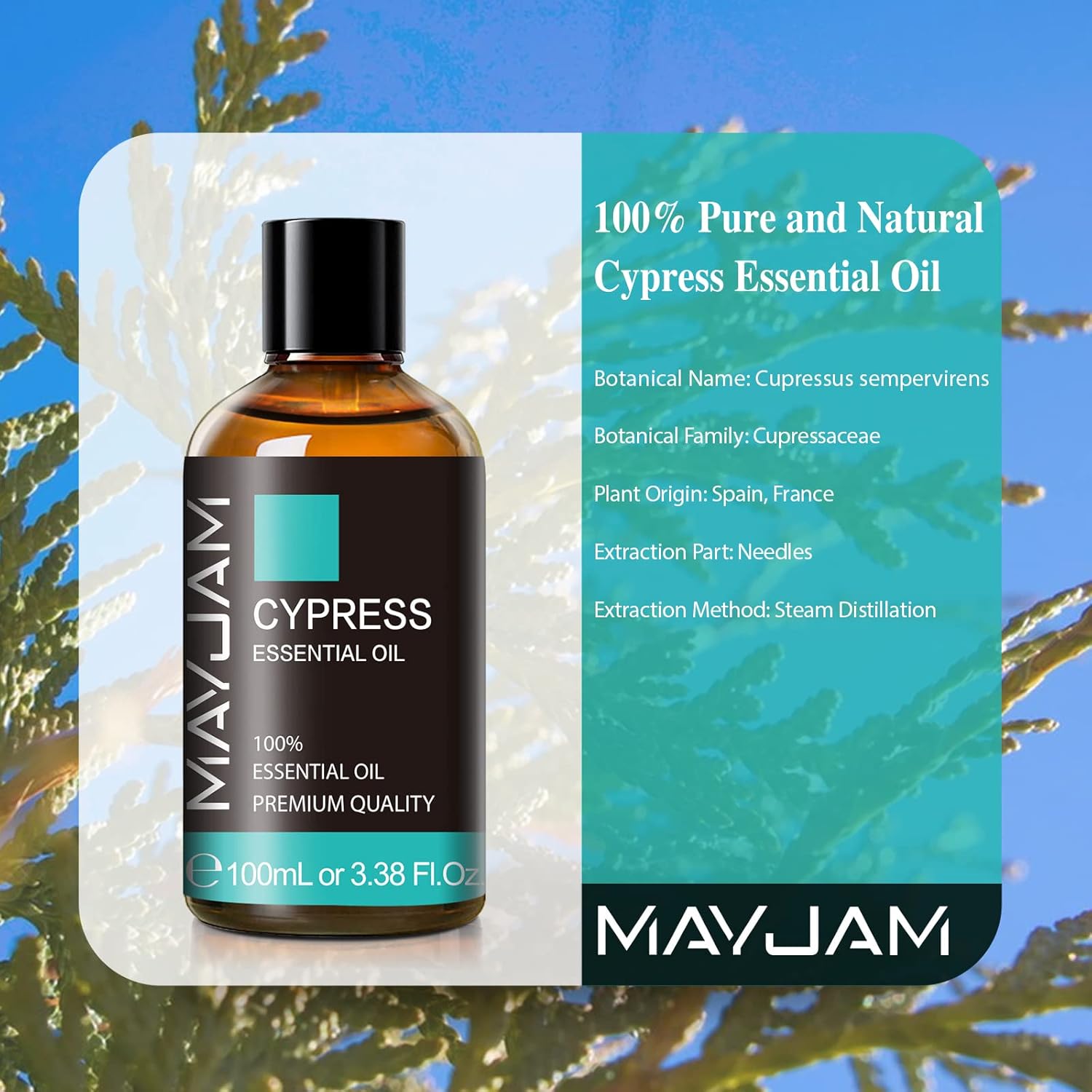 Cypress Essential Oil, MAYJAM 3.38fl.oz100ml Cypress Oil with Glass Dropper, Ideal for Bedroom Living Room Office Use
