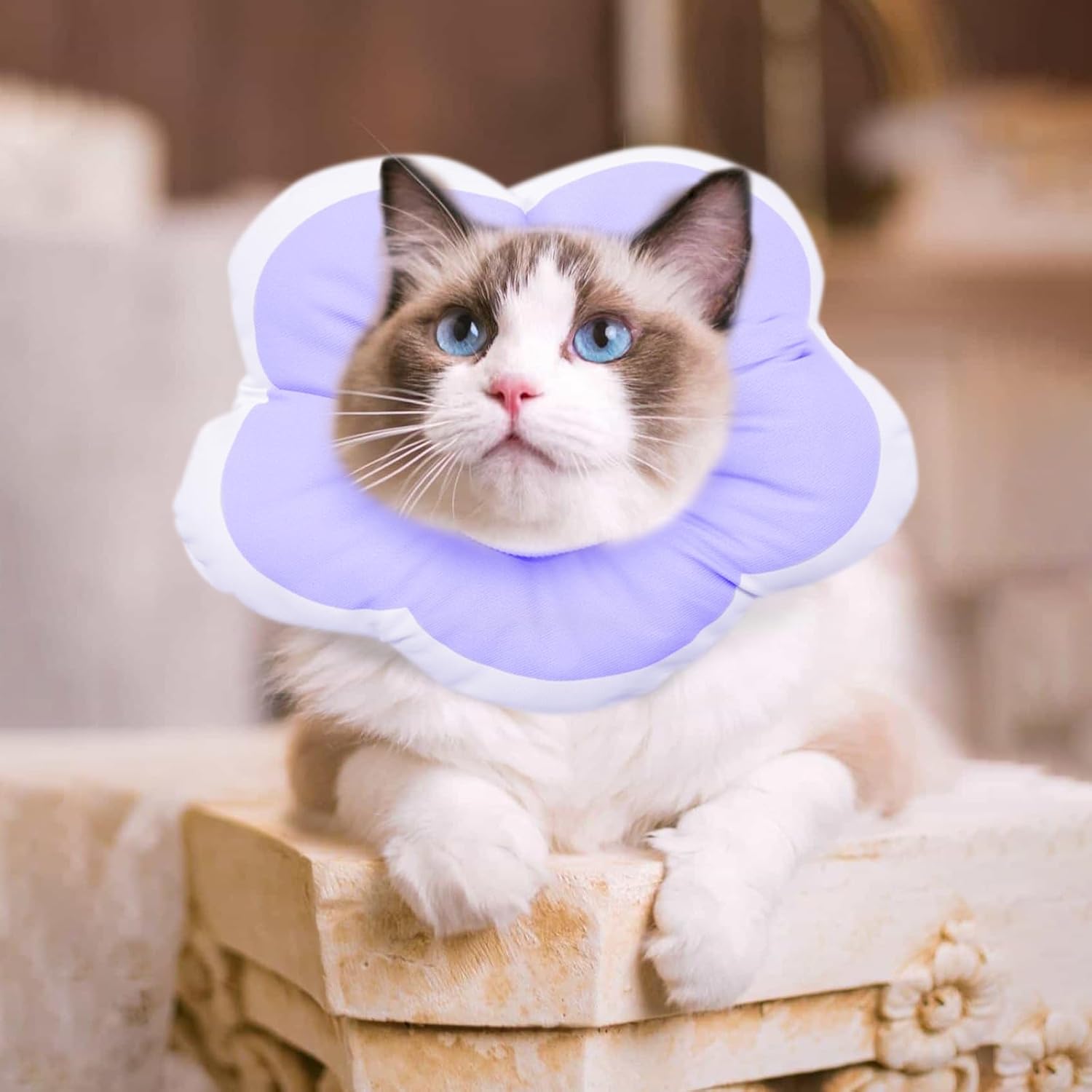 Collar ajustable de cono de pétalo para gatos, suave, lindo e impermeable, collar de recuperación isabelino para gatitos y perros pequeños,