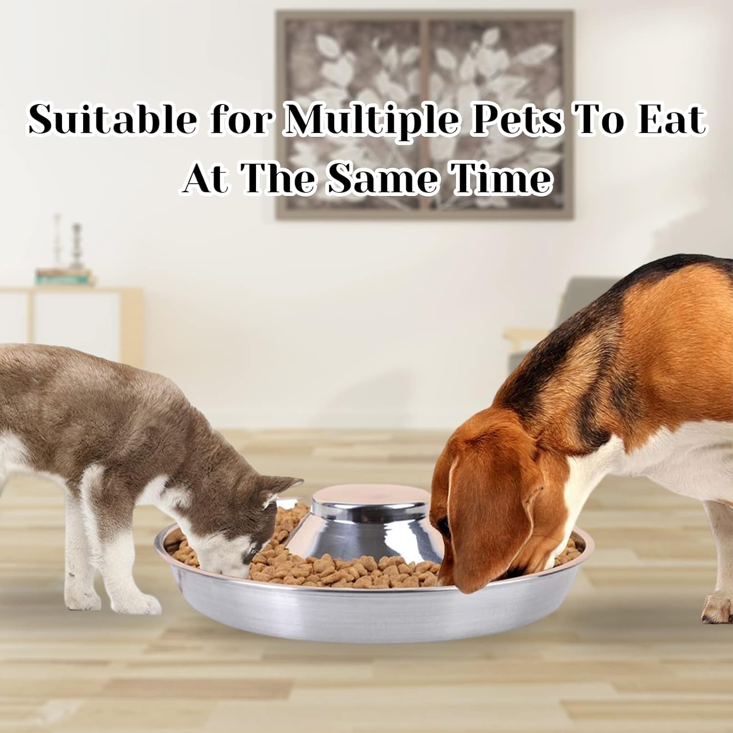 Fhiny Paquete de 2 cuencos de acero inoxidable para cachorros, plato de alimentación para destete de mascotas con cuchara para camadas, mascotas,