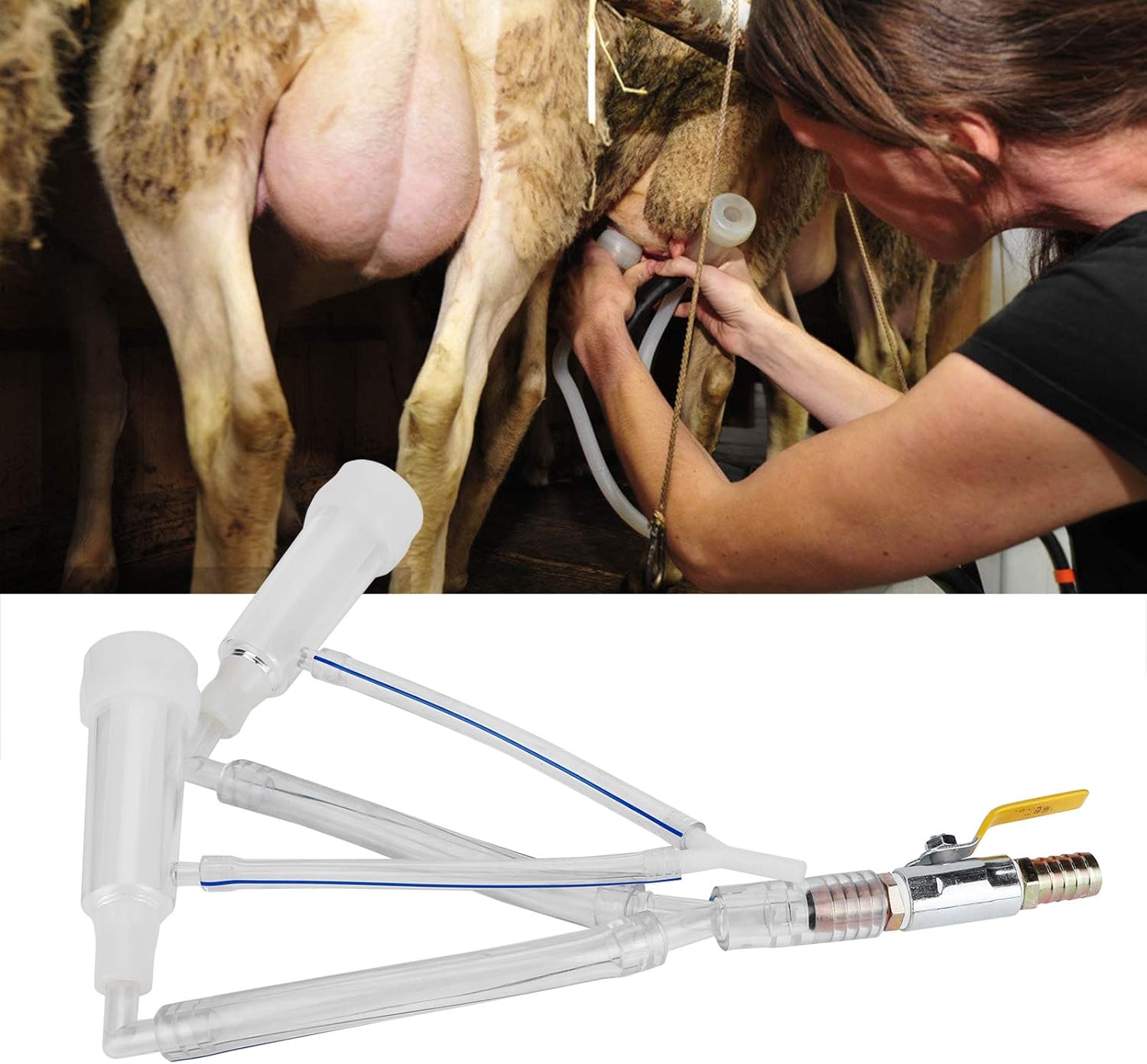 Fdit Copas de tetina de ordeño Piezas de repuesto Juego de tazas de leche de cabra de leche Grupo de ordeño Accesorios para máquinas de ordeño