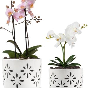 EFISPSS Maceta de orquídea de 5 + 6 pulgadas, macetas de orquídeas de drenaje de cerámica con agujeros para un crecimiento saludable de las raíces, EFISPSS Maceta de orquídea de 5 + 6 pulgadas, macetas de orquídeas de drenaje de cerámica con agujeros para un crecimiento saludable de las raíces,