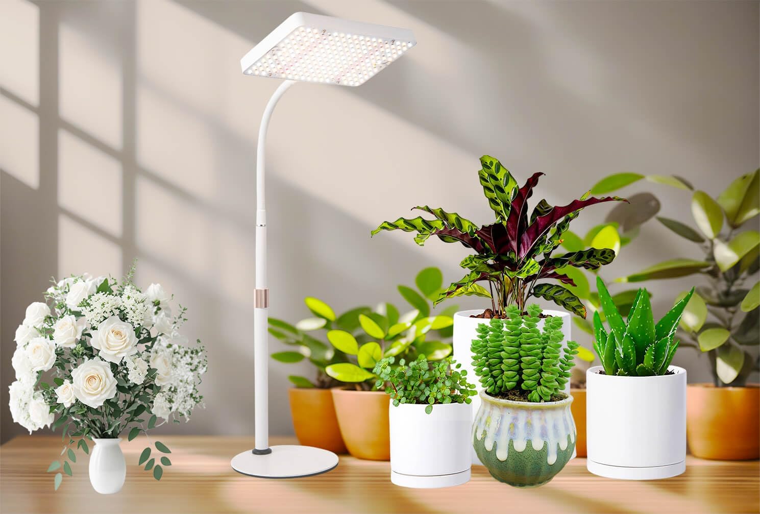 GroCruiser Luces de cultivo de escritorio para plantas de interior, luz de cultivo de mesa de 200 W, lámpara de cultivo de plantas de espectro