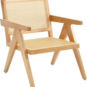 GOOLON Silla decorativa de ratán individual, silla de sala de estar, silla de sala de estar de diseño moderno de mediados de siglo con respaldo GOOLON Silla decorativa de ratán individual, silla de sala de estar, silla de sala de estar de diseño moderno de mediados de siglo con respaldo
