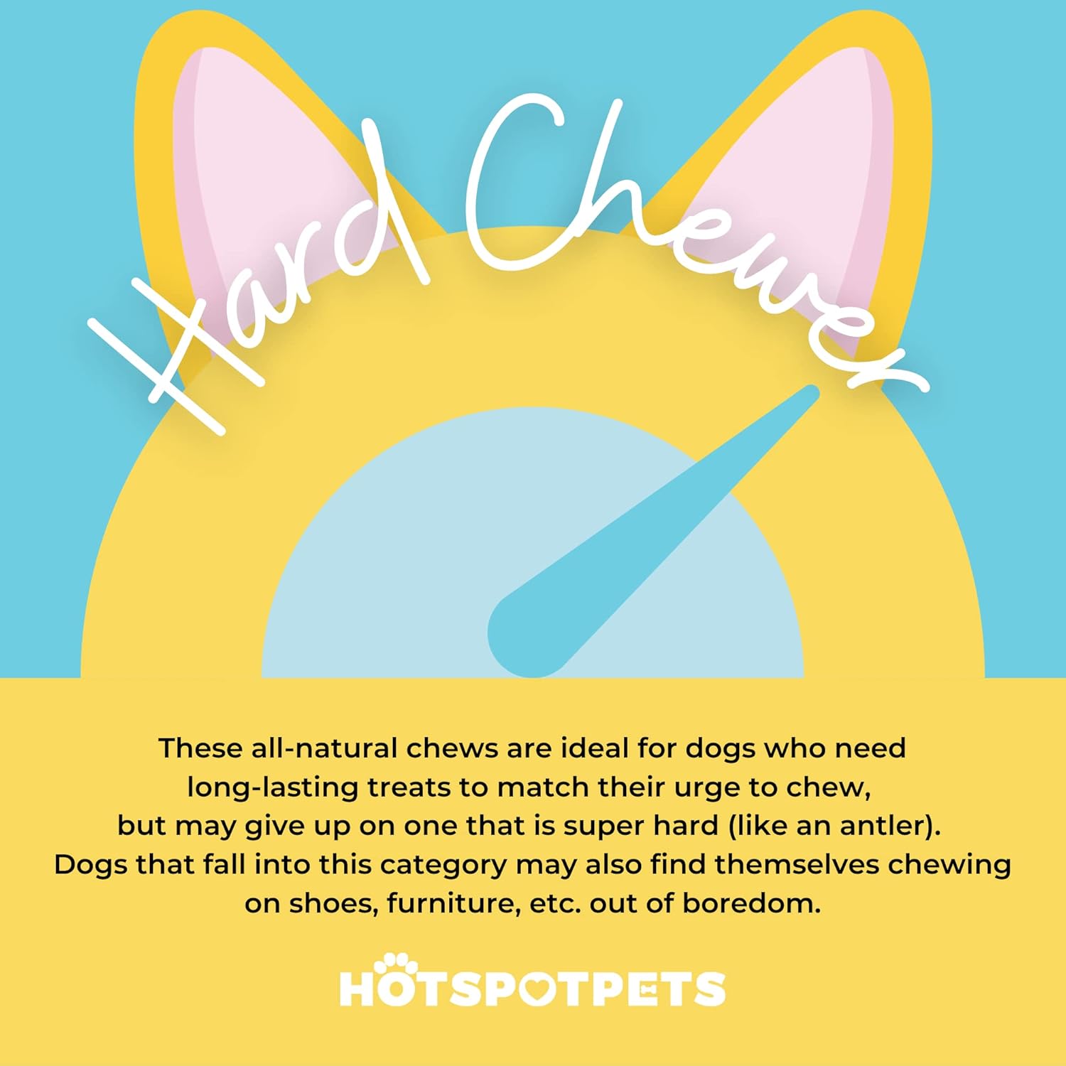 hotspot pets Palitos trenzados para perros  Golosinas masticables de carne torcida de alta calidad de larga duración para perros  Sin granos,