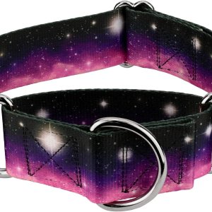 Country Brook Petz – Collar de perro Heavenly Space Martingale – Colección Geek Chic con 4 diseños para cualquier Mega fan (1 12 pulgadas, mediano) Country Brook Petz – Collar de perro Heavenly Space Martingale – Colección Geek Chic con 4 diseños para cualquier Mega fan (1 12 pulgadas, mediano)