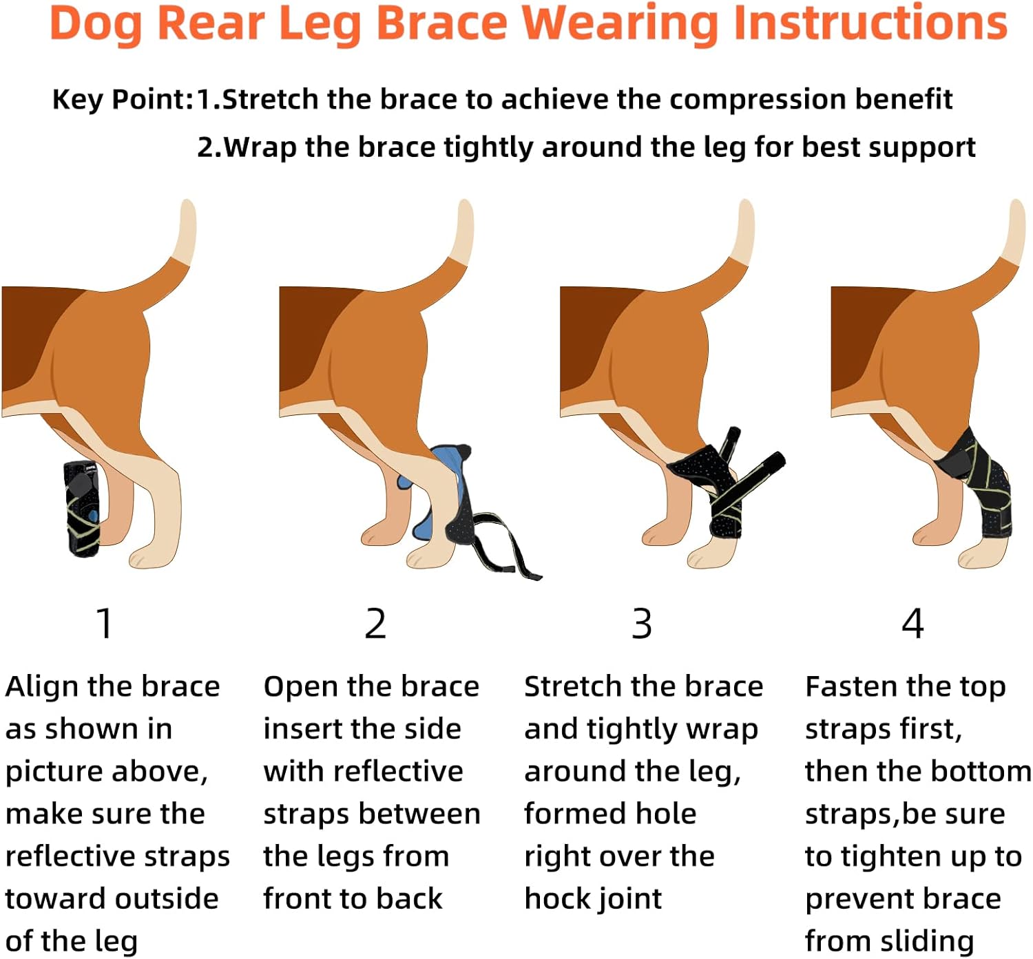 Soporte de articulación para perros medianos y grandes, envoltura de compresión con correas y tiras de resorte de metal que protege heridas, cura,
