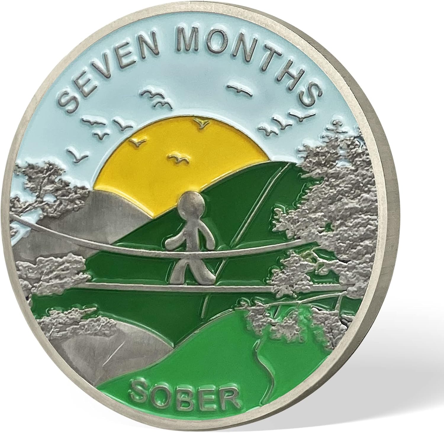 Moneda de sobriedad de 7 meses Alcohólicos Medallón Anónimo AA, Token de chip AA, regalos de sobriedad para mujeres y hombres en recuperación (1-12