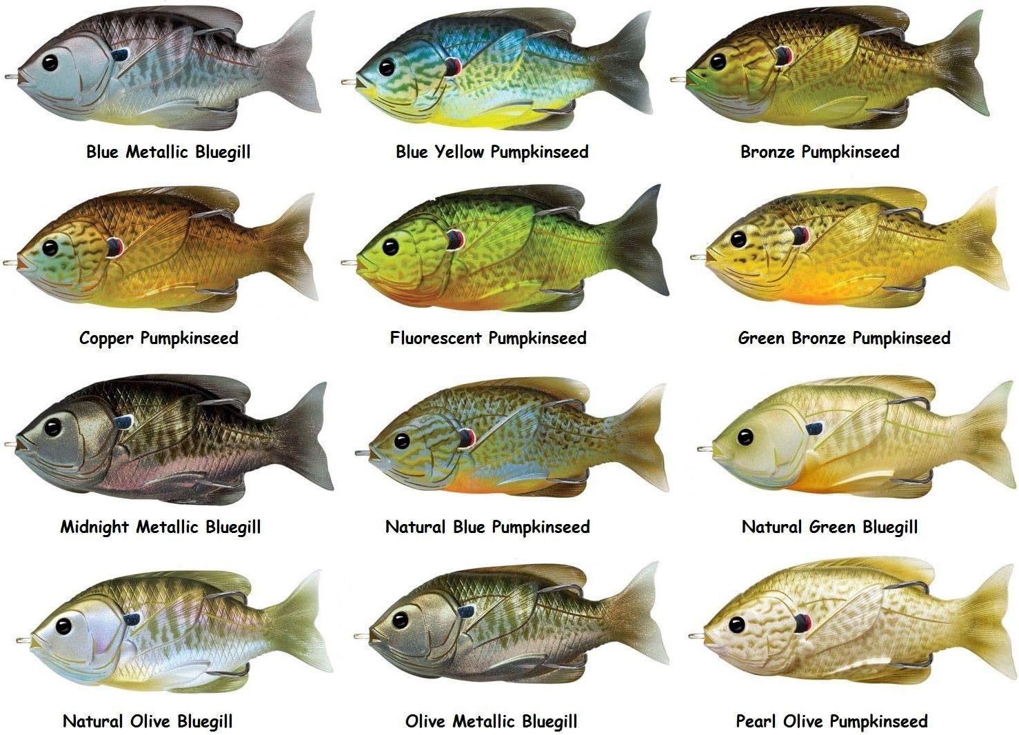 Señuelo de pesca LiveTarget con forma de pez luna y cuerpo hueco para superficie anzuelo #40, Multi, 3″