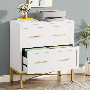 Tribesigns Archivador de 2 cajones, archivador lateral blanco moderno para tamaño cartalegalA4, gabinetes de almacenamiento de archivos grandes, Tribesigns Archivador de 2 cajones, archivador lateral blanco moderno para tamaño cartalegalA4, gabinetes de almacenamiento de archivos grandes,