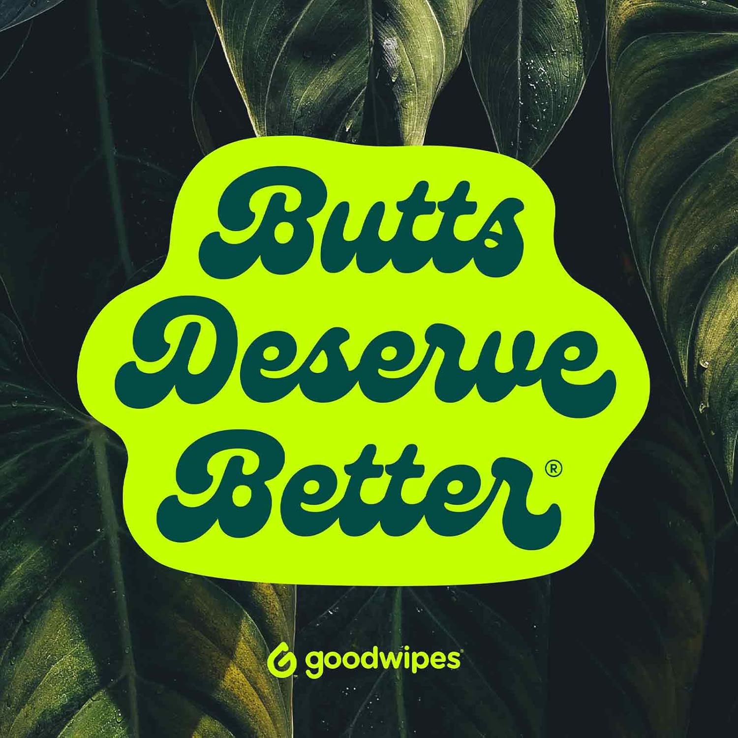 Goodwipes Toallitas desechables para glúteos hechas con botánicos calmantes y aloe – Dispensador de toallitas húmedas suave y suave para uso