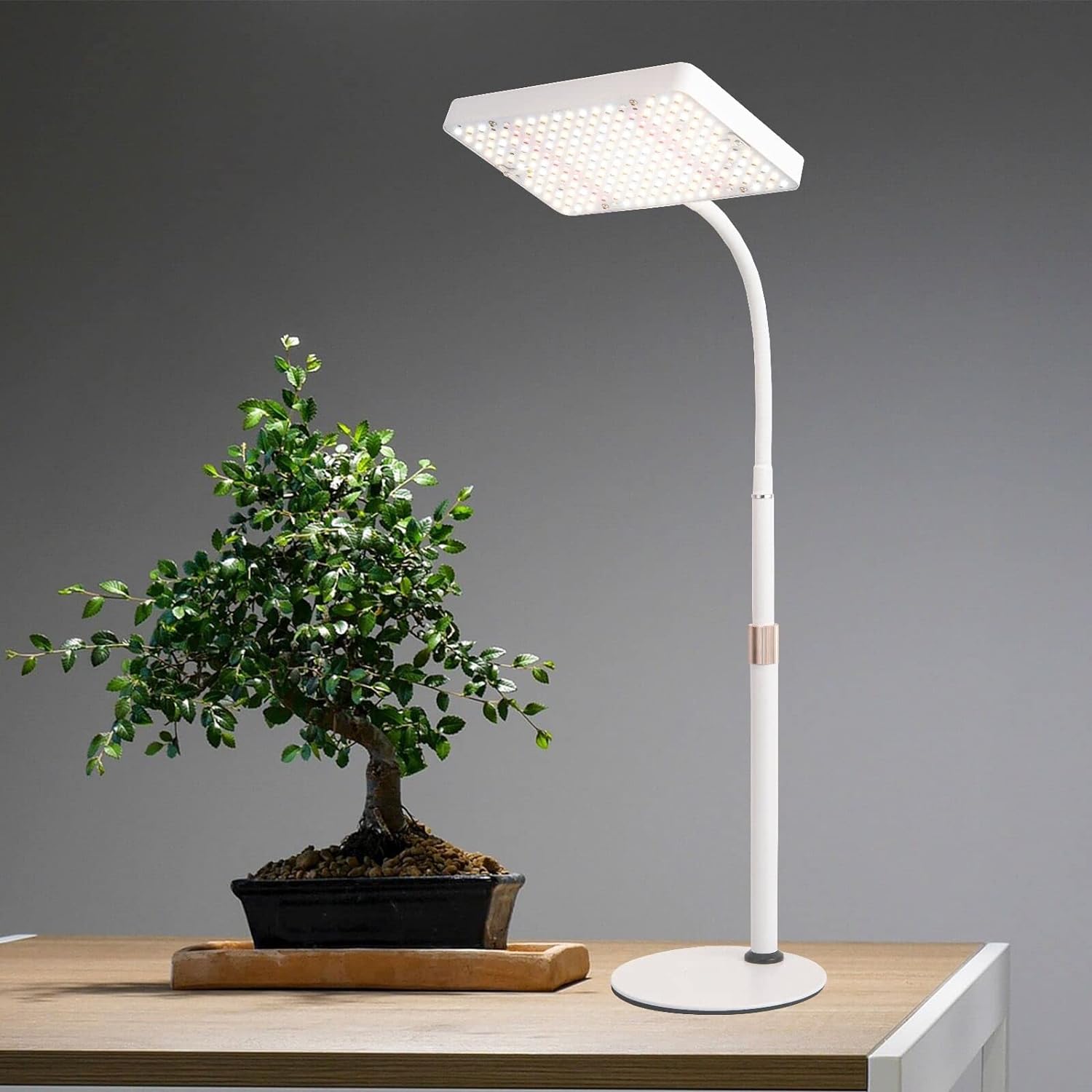 Luz de crecimiento de escritorio de espectro completo, luz de cultivo de plantas de mesa, luces LED de cultivo incluidas IR-UV para plantas de